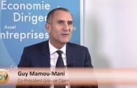 interview-guy-mamou-mani-co-president-groupe-open-sur-resultats-2015