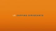 zapping dirigeants 2016