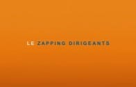 zapping dirigeants 2016