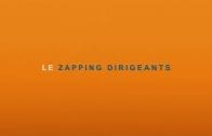 zapping-dirigeants-2016