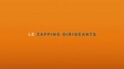 zapping dirigeants 2016