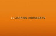 zapping dirigeants 2016