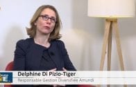 interview-delphine-di-pizio-tiger-responsable-gestion-diversifiee-amundi-22-mars-2018