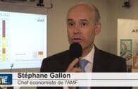 interview-STEPHANE-GALLON-AMF-2-JUILLET-2020