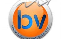 LOGO-BV – copie